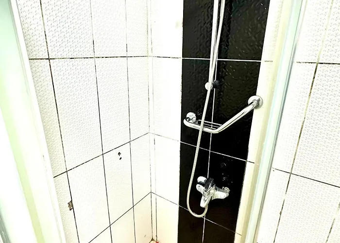 호텔 Cendere Old *